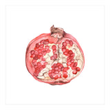 Pomegranate (Print Only) thumbnail