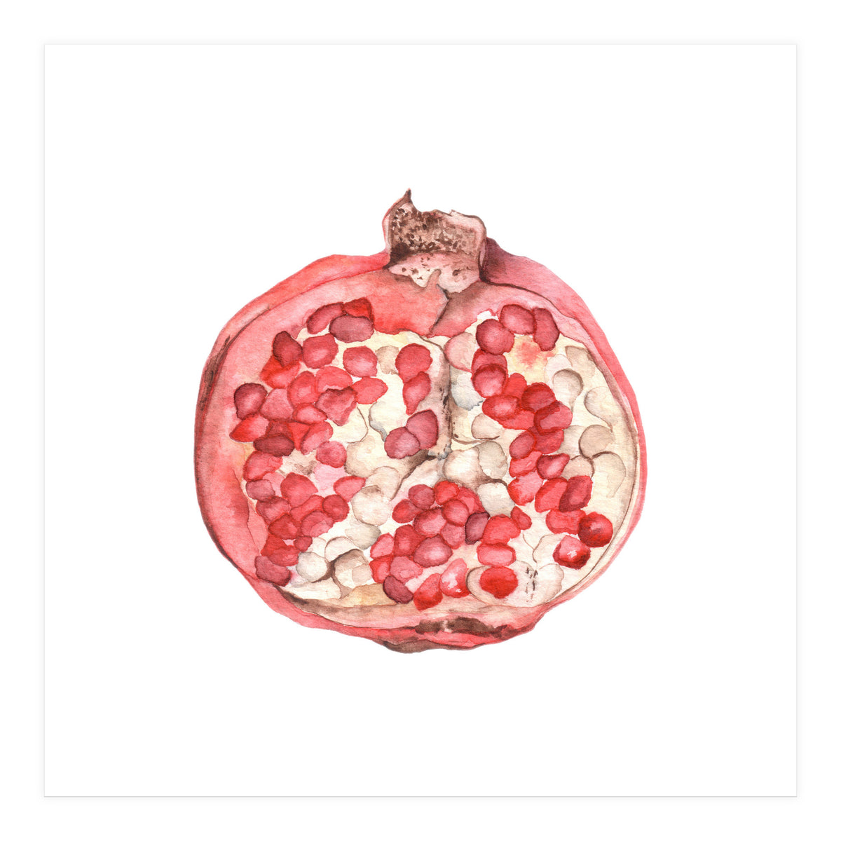 Pomegranate (Print Only)