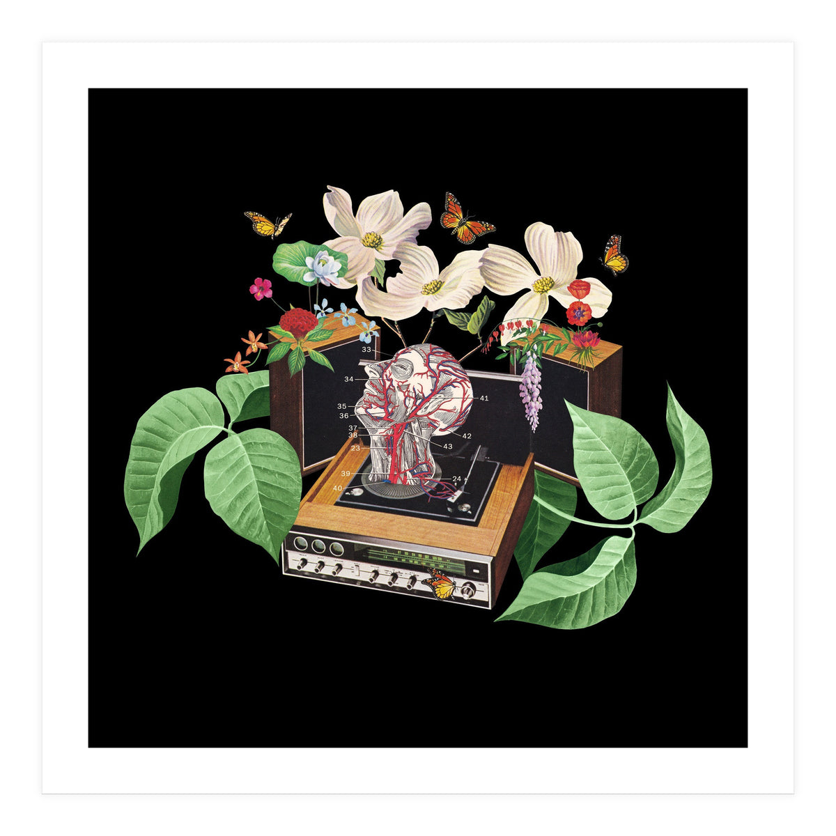 Where Is My Mind (Print Only)