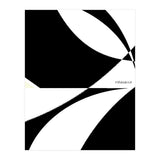 12 (Print Only) thumbnail