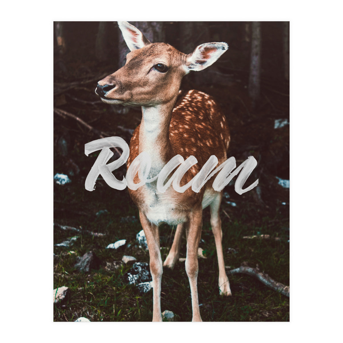Roam (Print Only)