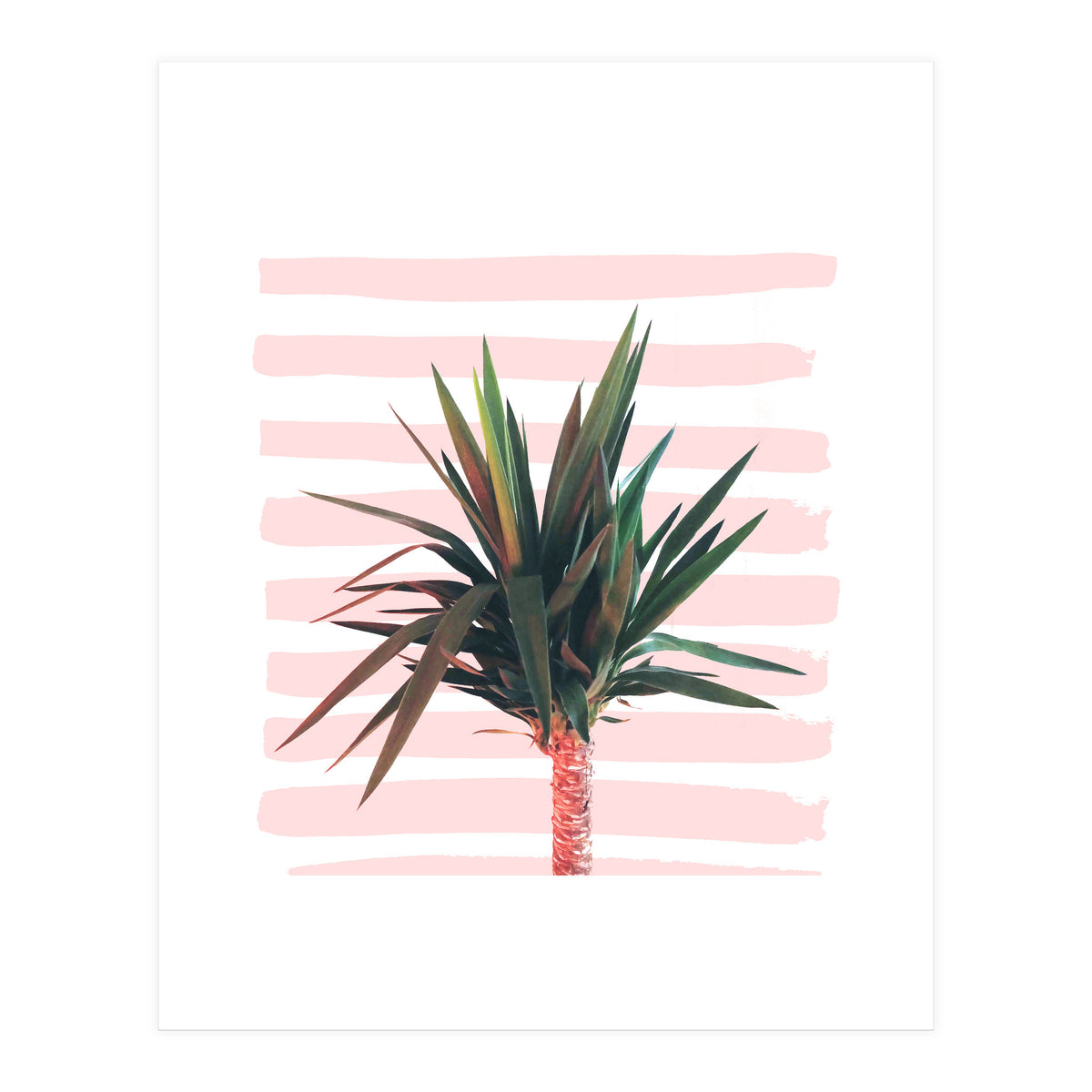 Dreamer (Print Only)
