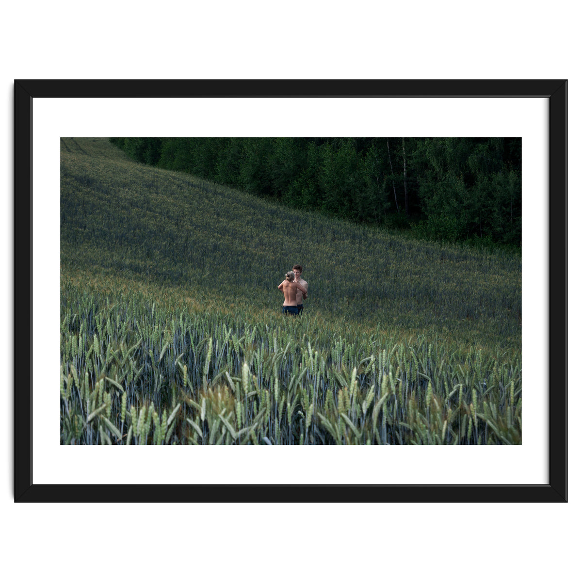 Endless Fields of Summer