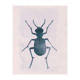 Beetle 1 (Print Only) thumbnail