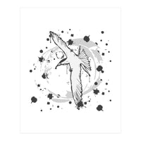 Fairy Tern Sketch (Print Only)