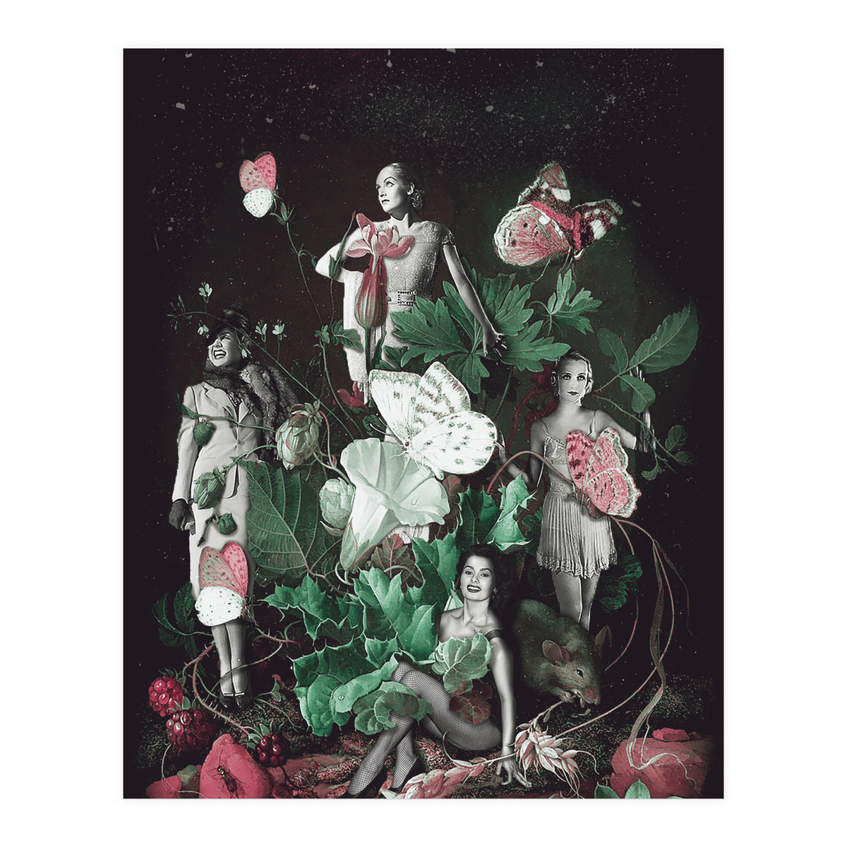 Cecilia (Print Only)