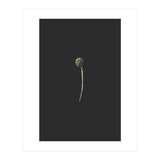 Simple Golden Botanical (Print Only) thumbnail