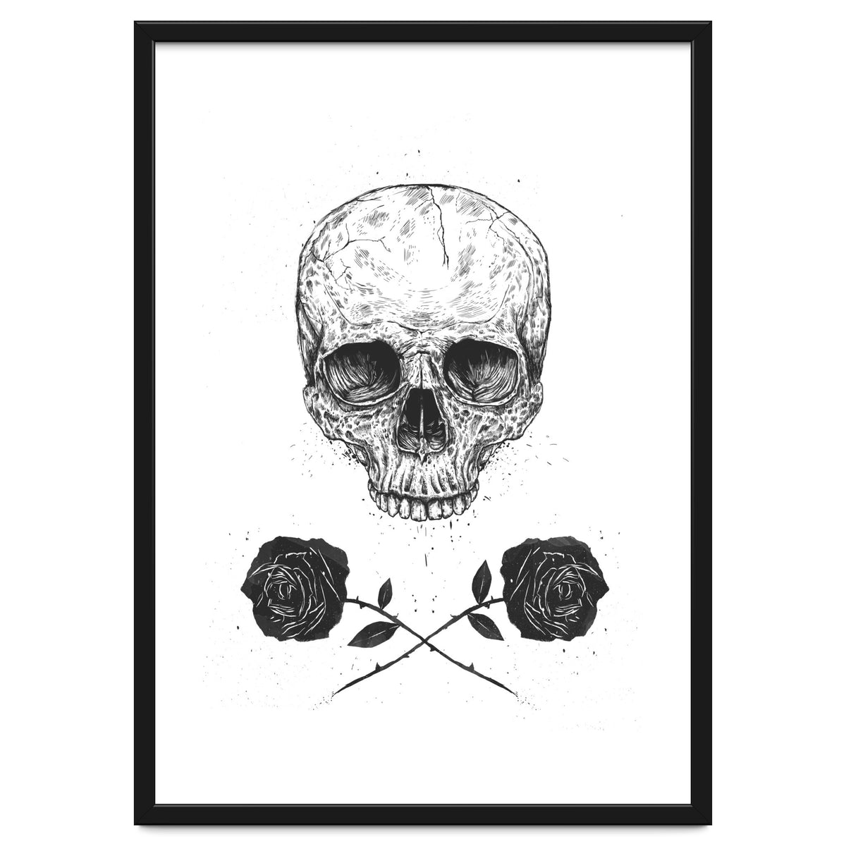 Skull N Roses