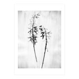Hosta 2 (Print Only) thumbnail