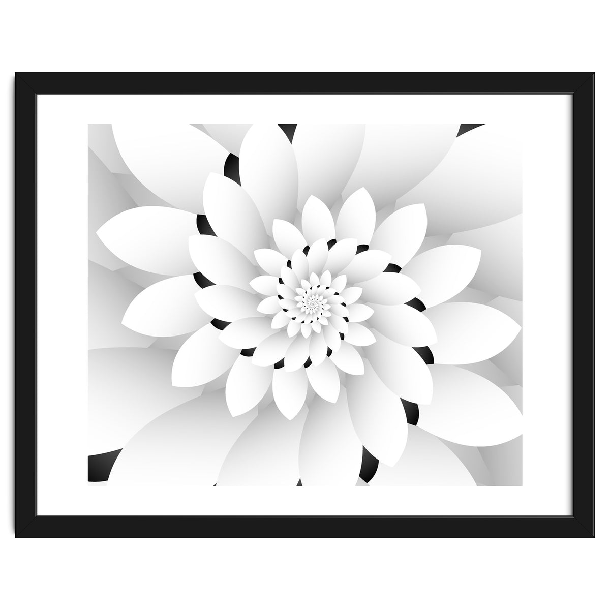Monochrome Floral Design