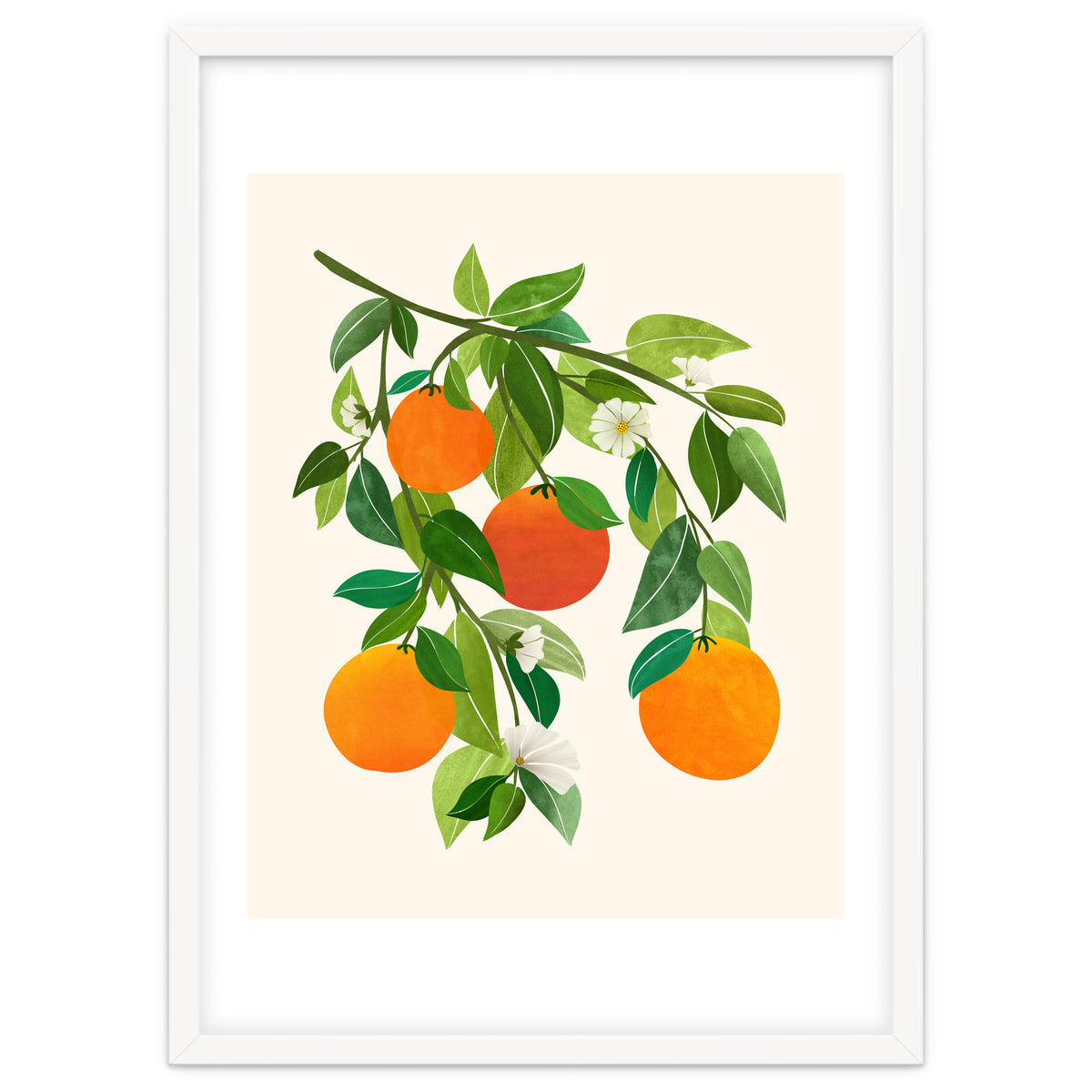 Oranges and Blossoms II