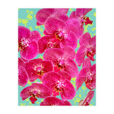 Finding My Way Back To Myself, Botanical Nature Plants Floral, Flowers Garden Colorful Boho Painting Summer Blossom (Print Only) thumbnail