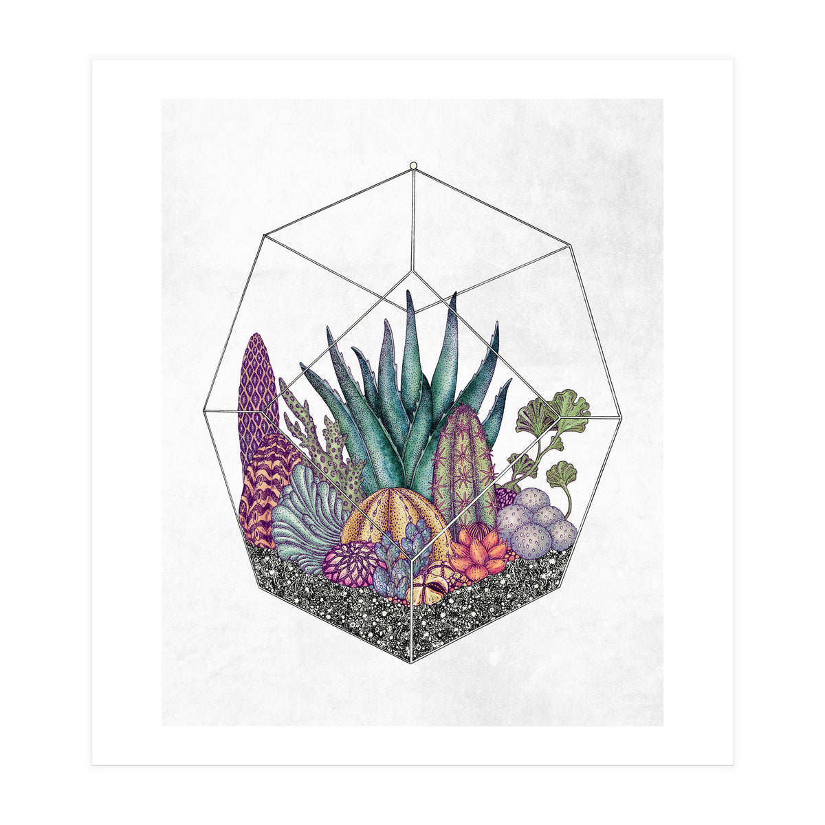 botanical geometria (Print Only)