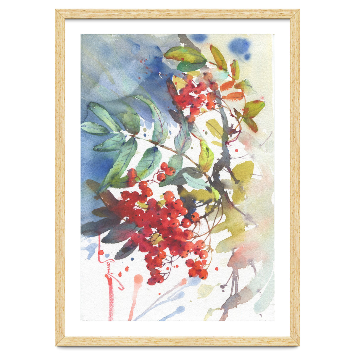 Viburnum / Guelder rose