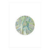 Grasses In The Late Summer Light (Print Only) thumbnail