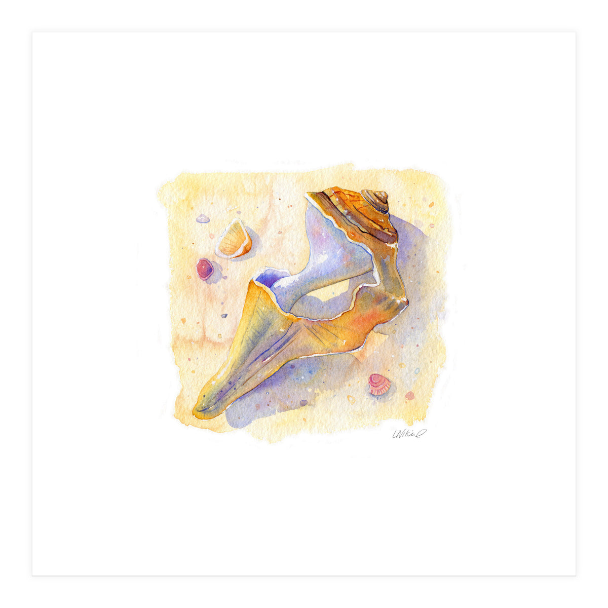 Old Shell (Print Only)