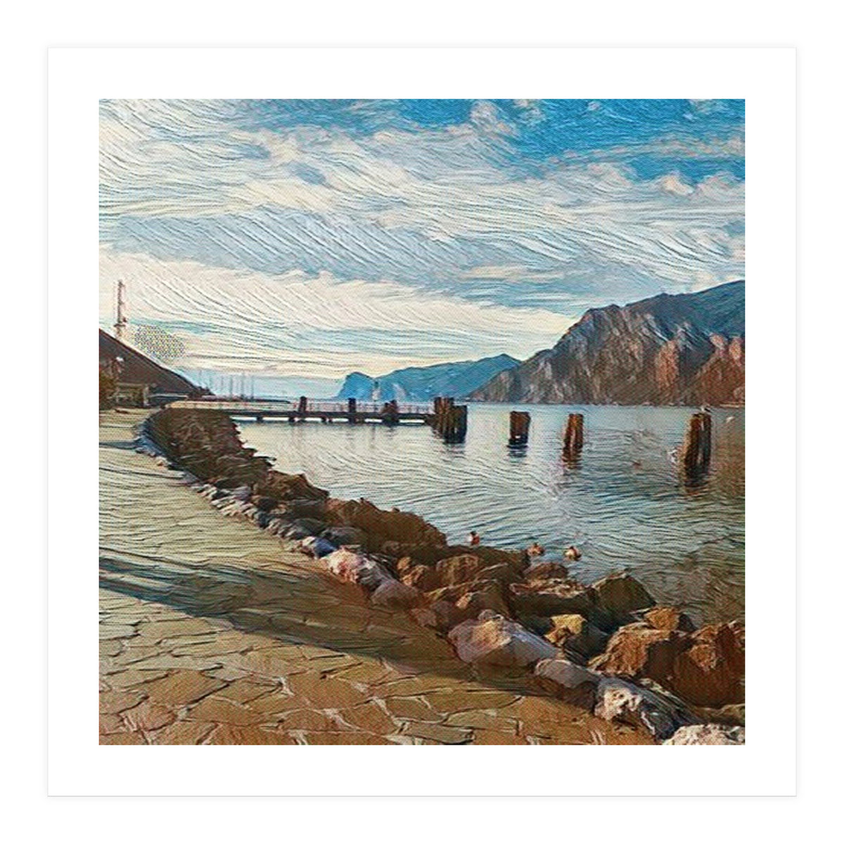 Ducks on Lake Garda, Italy. (Print Only)