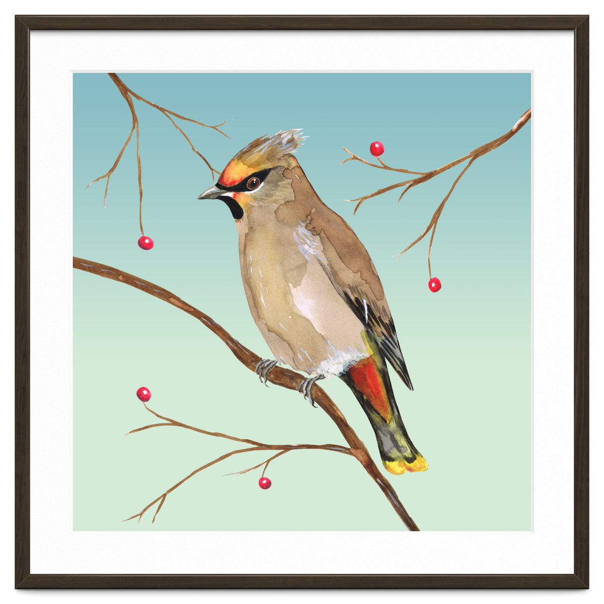 Bohemian waxwing