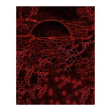 Red bubble (Print Only) thumbnail