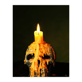 Skull  (Print Only) thumbnail