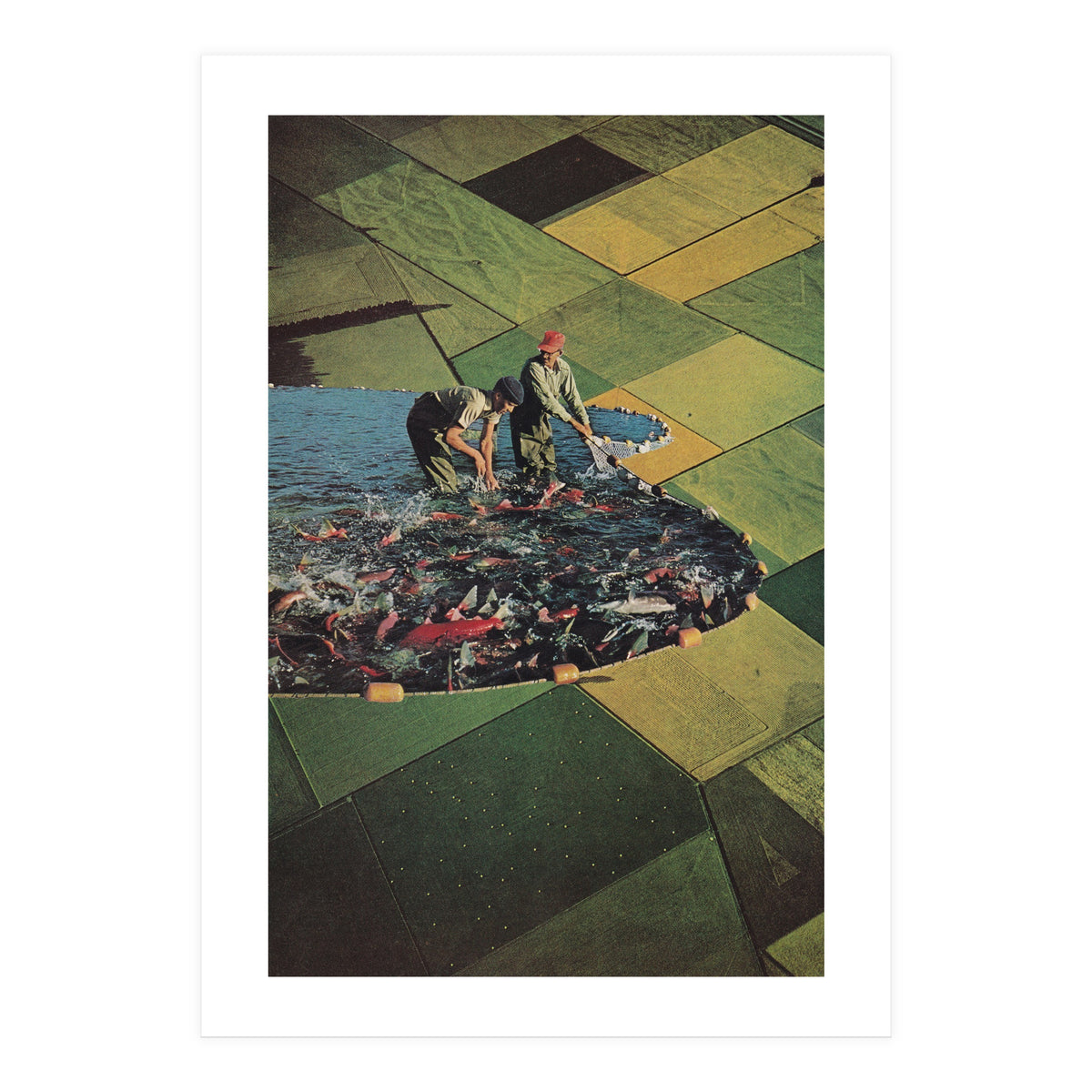 Salmon Farm (Print Only)