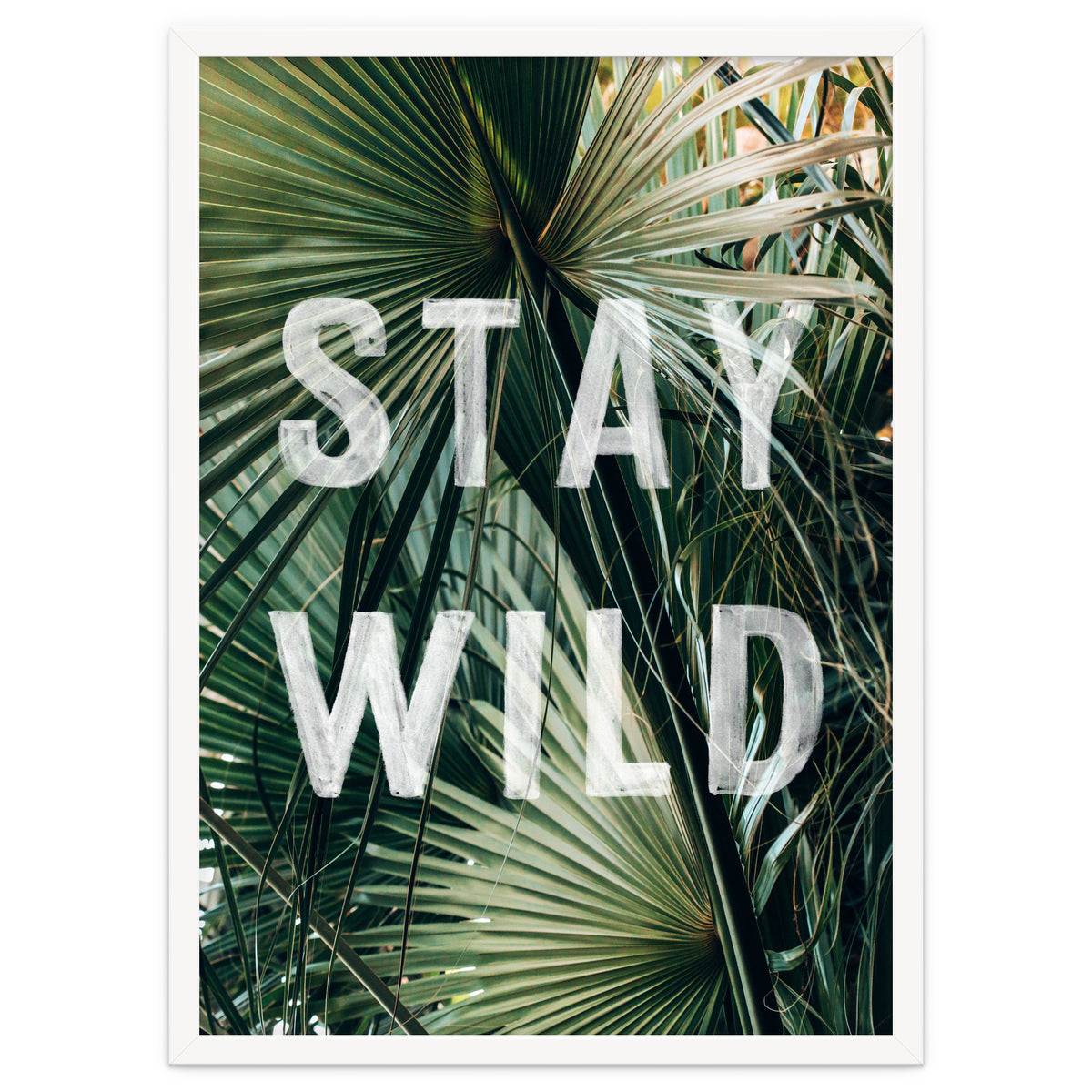 Stay Wild