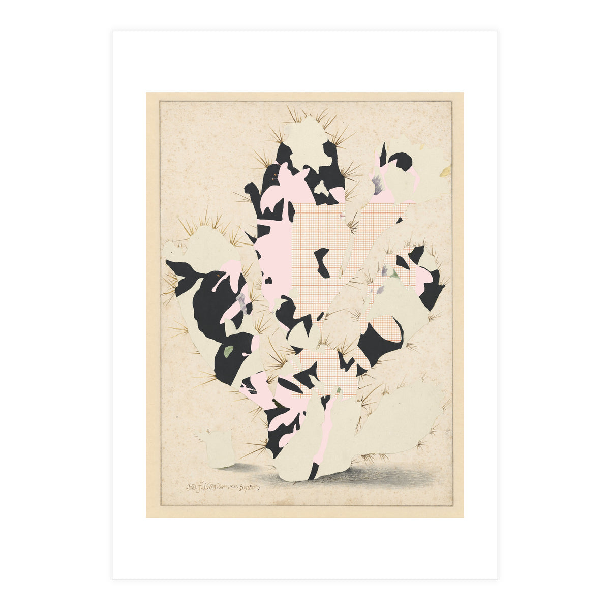 The First Plant · E (Print Only)