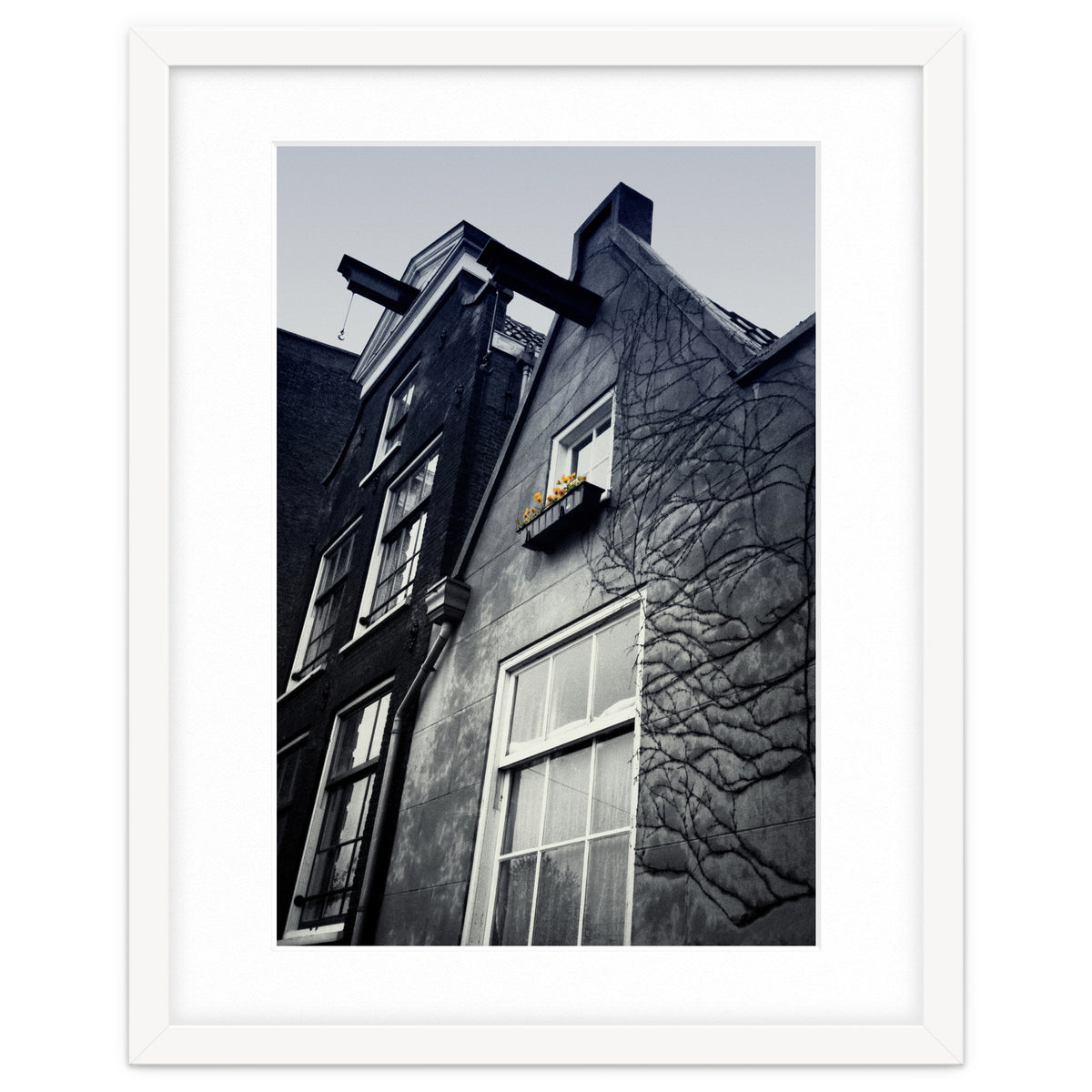 Amsterdam. House With Yellow Flowers.