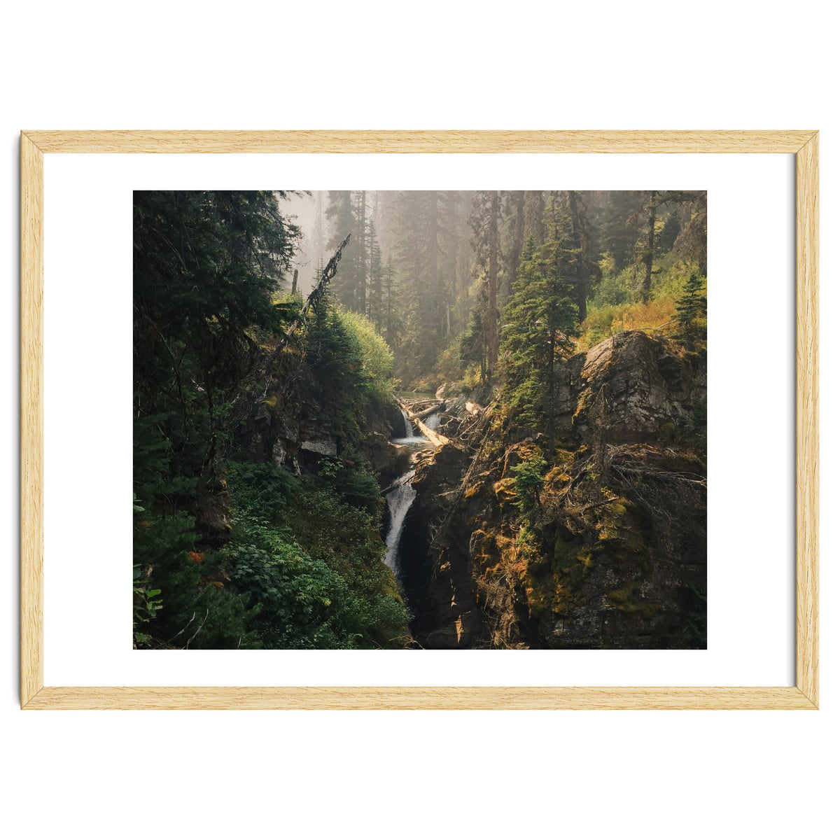 Glacier National Park I