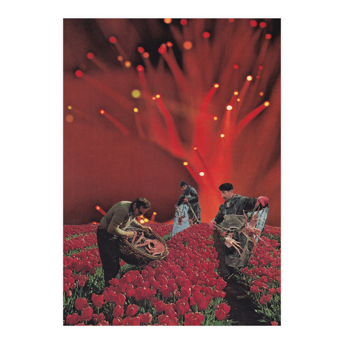 Red King Crab (Print Only)