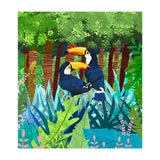 Tucans (Print Only) thumbnail