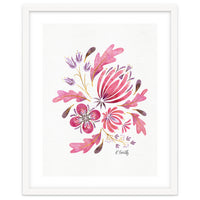 Protea | Floral Pink