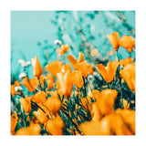 Nyla (Print Only) thumbnail