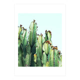 Cactus Love (Print Only) thumbnail