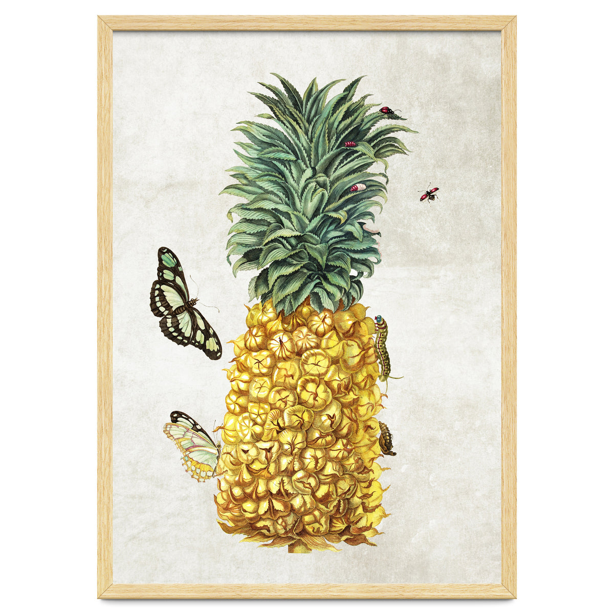 ananas