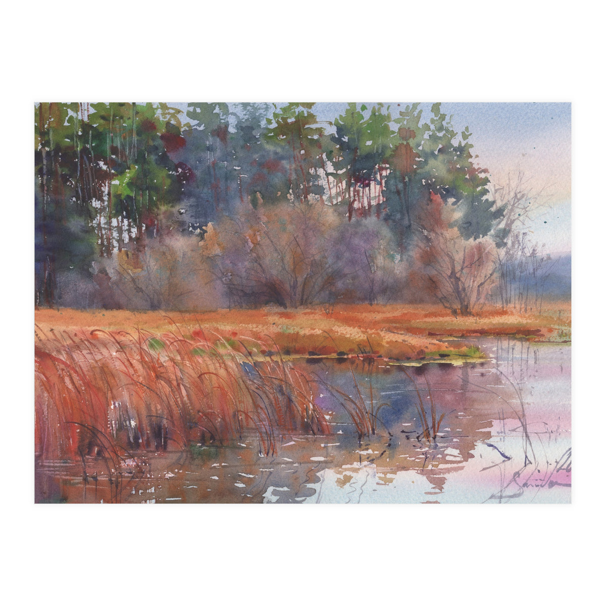 The Force Awakens (Print Only)