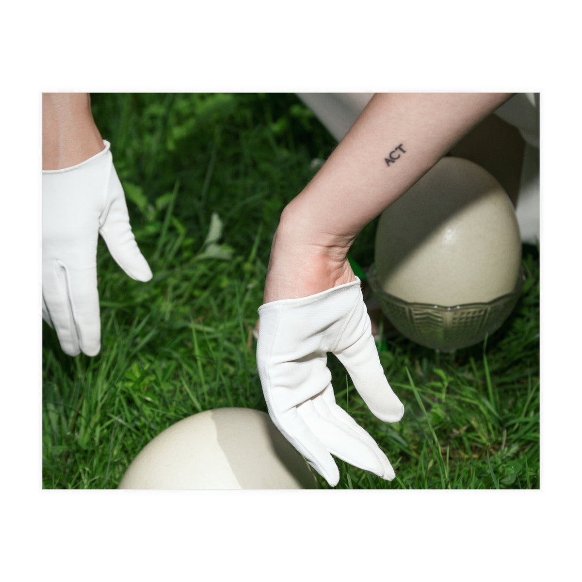 Dinosaur Inside (Print Only)