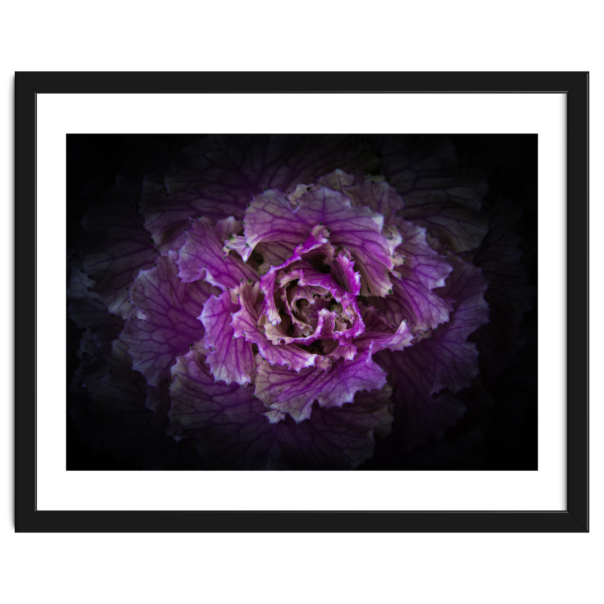 Backyard Flowers No 42 Color Version