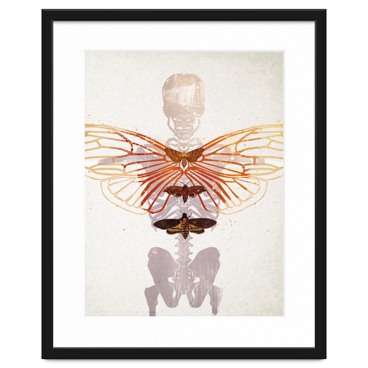 Ikarus - Like a Moth to the Flame