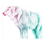 Wolf  (Print Only) thumbnail