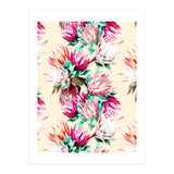 King proteas bloom II (Print Only) thumbnail