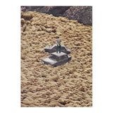 Traffic Jam (Print Only) thumbnail
