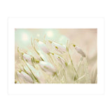 Enchanting Snowdrops (Print Only) thumbnail