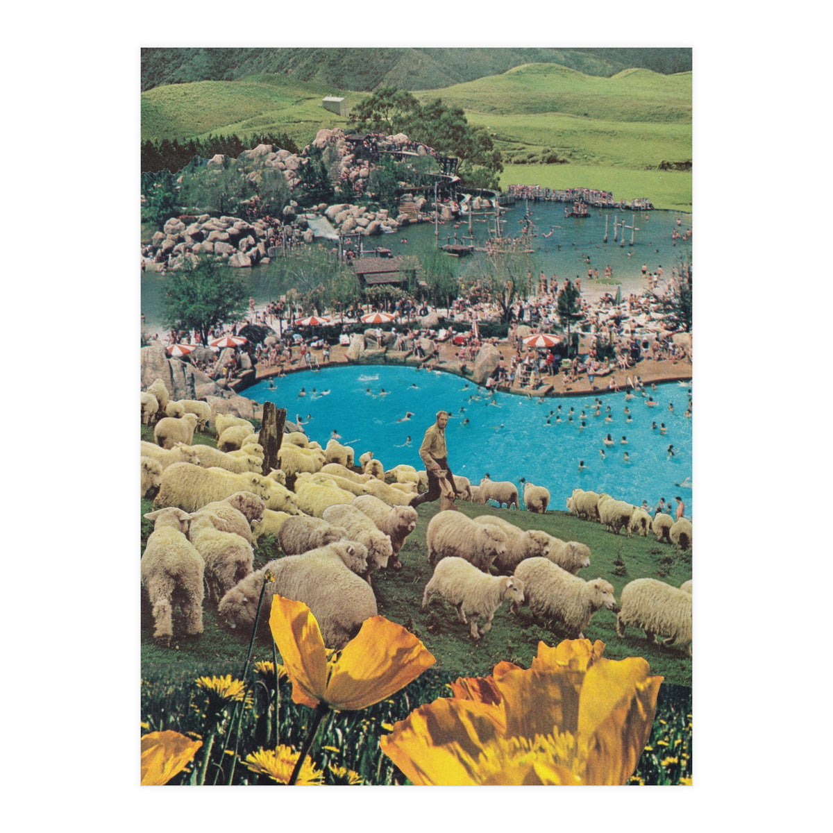 Sheep Farm (Print Only)