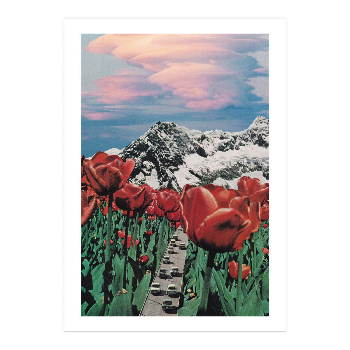 Tulip Road (Print Only)
