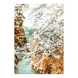 Japan (Print Only) thumbnail