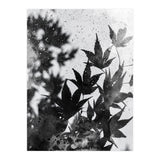 Leaves #2 (Print Only) thumbnail