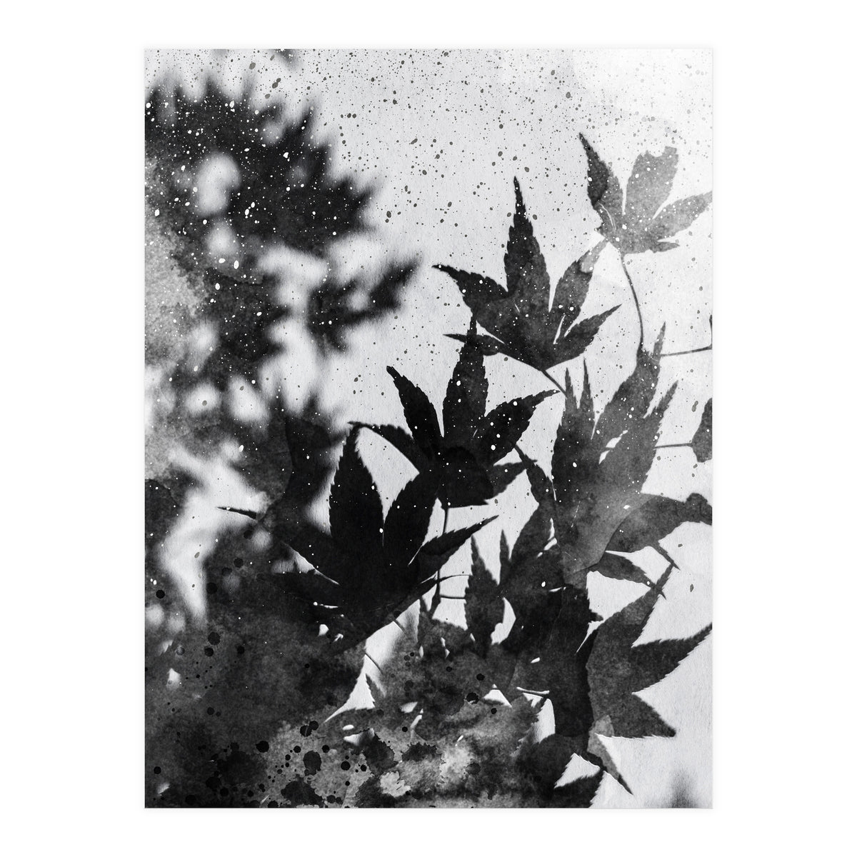 Leaves #2 (Print Only)