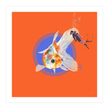 Koi Carp N Diver (Print Only) thumbnail