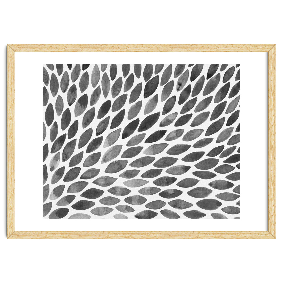 Black and white petal burst